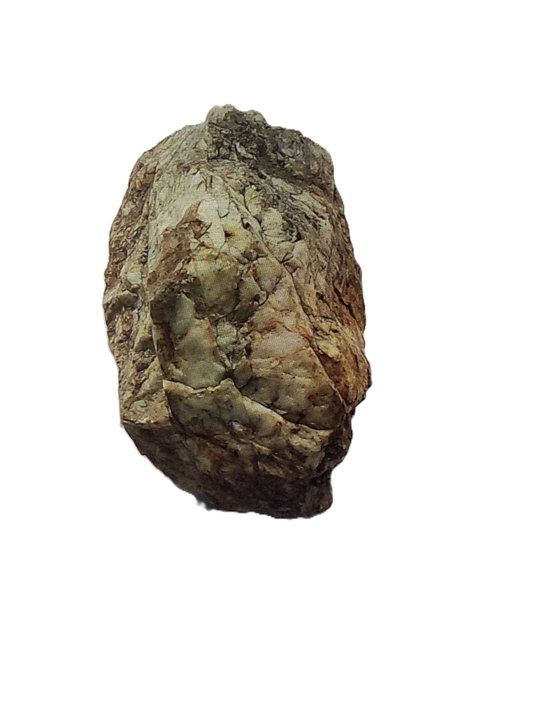 Picture of a rock that could have been modified by a Shaman.