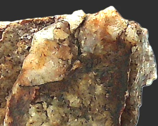 This image is of a dirty rock that needs to be cleaning to bring out the artwork.