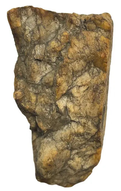 4 -Star - Spanish rock art petroglyph - Peridotite - Full of images/sculptures - Bones of the Earth -