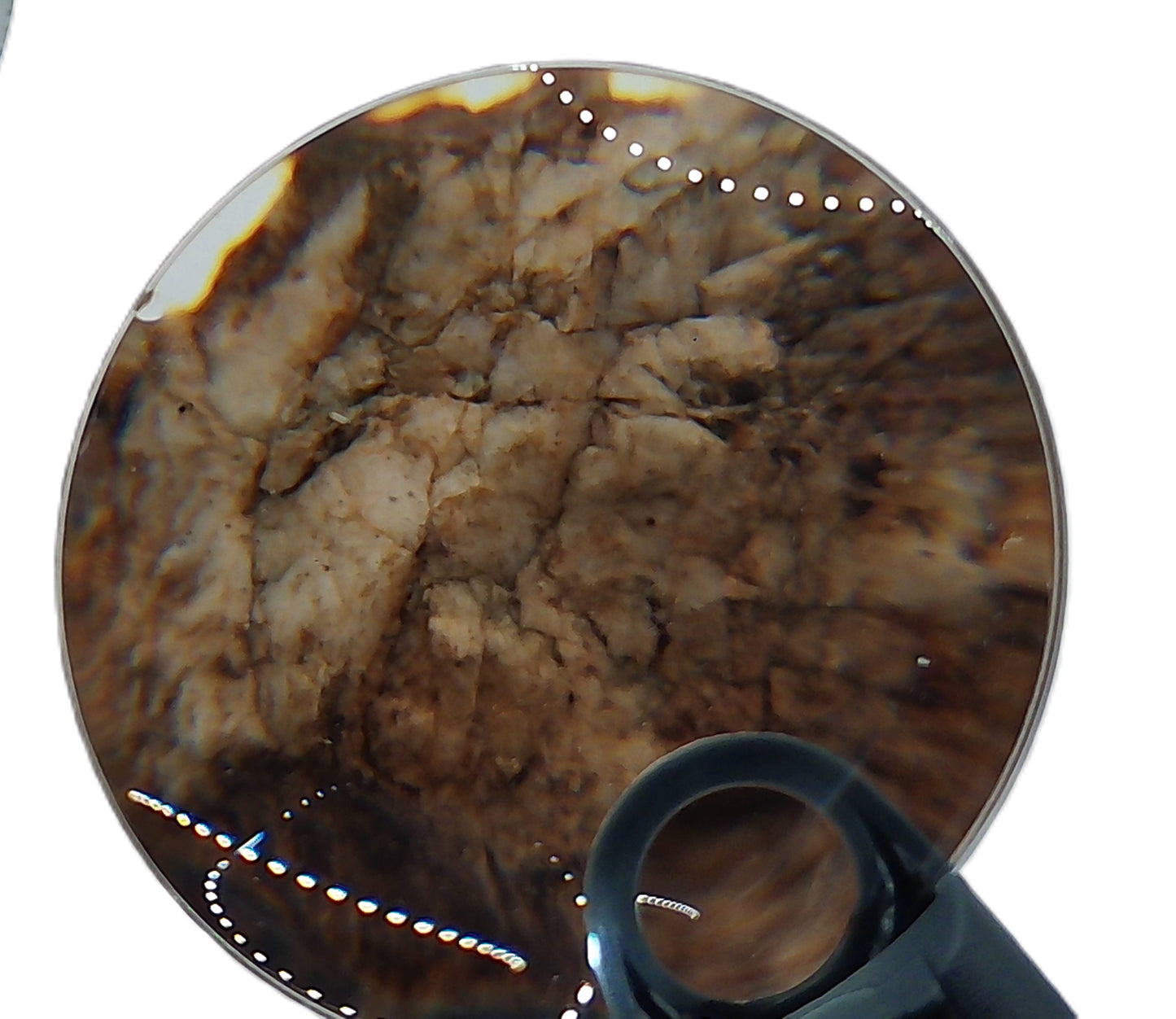 4 -Star - 005 - Portable Rock Art Effigies - Small Quartz - Full of images