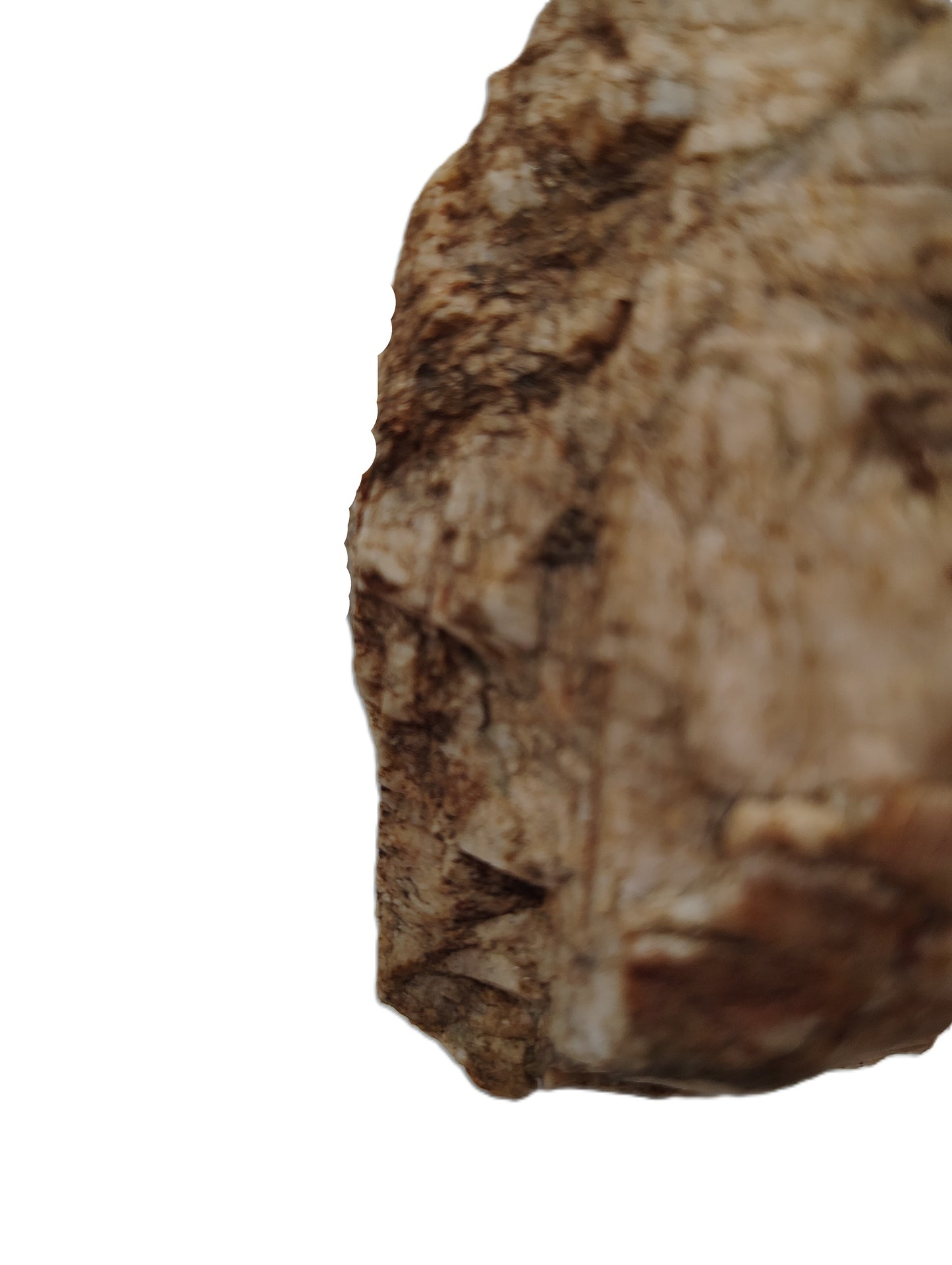 5 - Star - 011 - (PSA) Portable Rock Art - Quartz Faces and Architecture