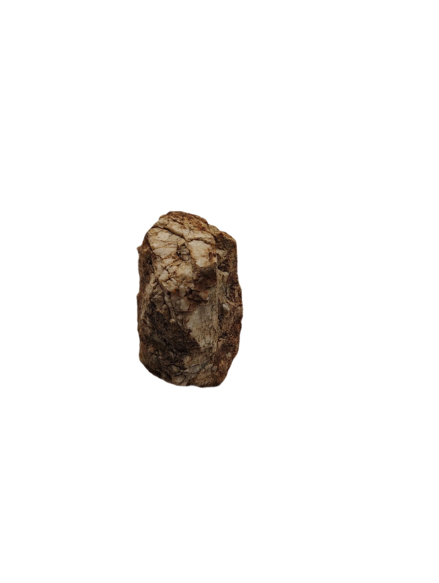Pictures within pictures in this painted rock of cartoonish characters and a white skulls