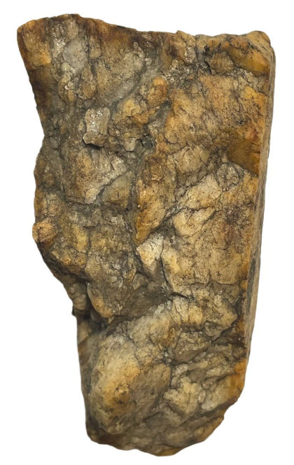 4 -Star - Spanish rock art petroglyph - Peridotite - Full of images/sculptures - Bones of the Earth - 