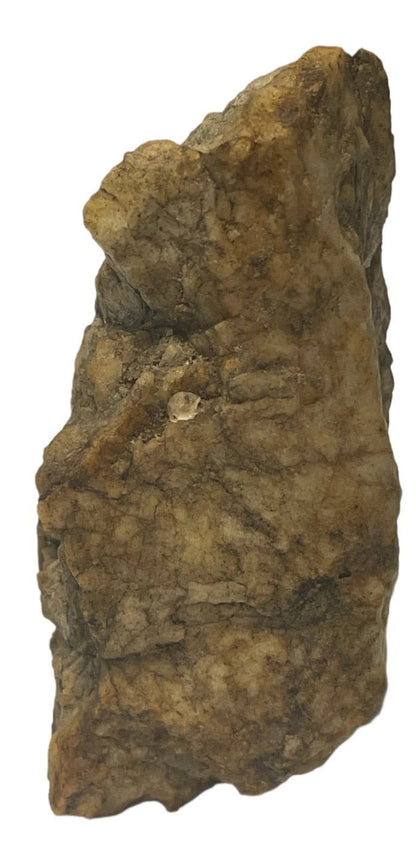 4 -Star - Spanish rock art petroglyph - Peridotite - Full of images/sculptures - Bones of the Earth - 